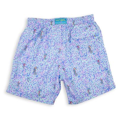 Men's Mesh Liner Swim Trunks - Rainbow Seahorses Aqua