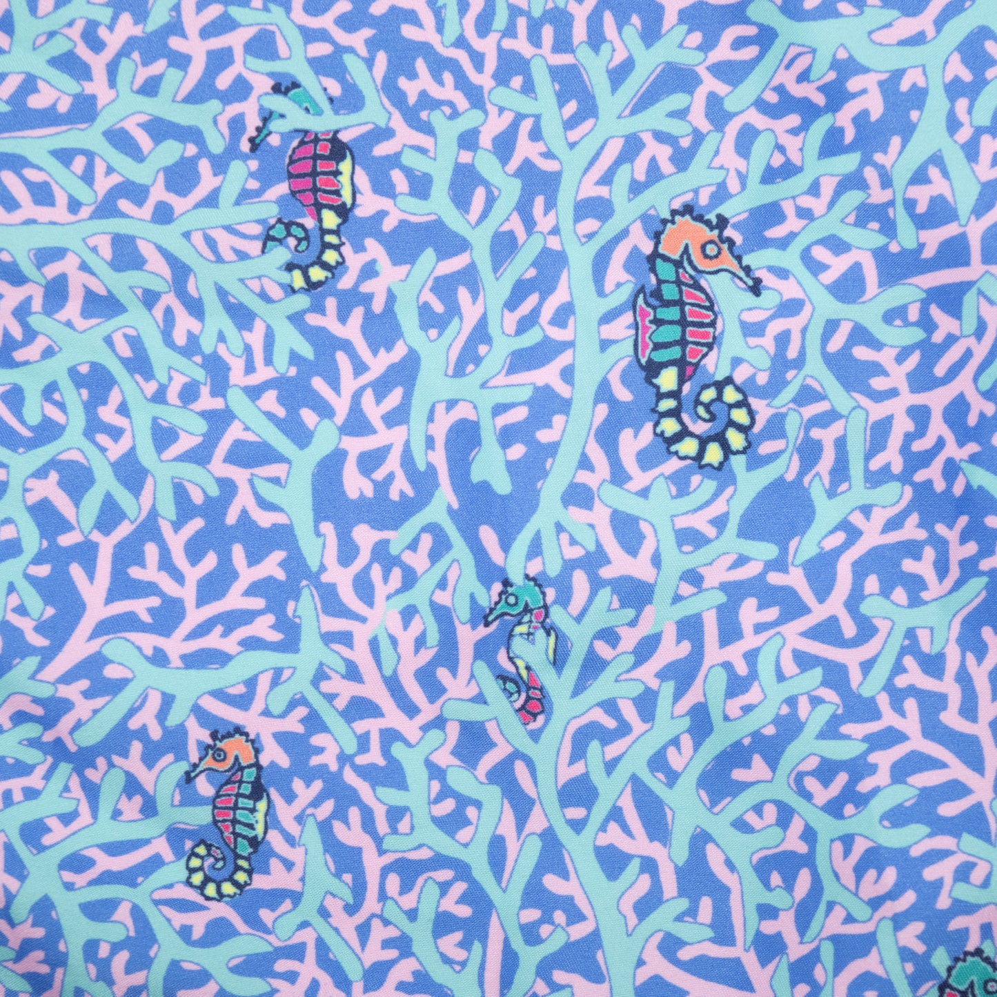 Men's Mesh Liner Swim Trunks - Rainbow Seahorses Aqua