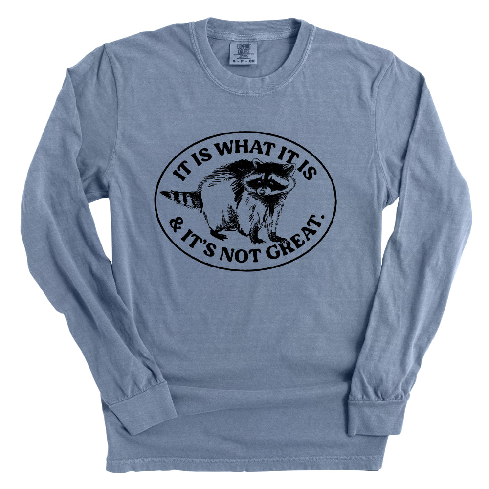 It Is What It Is And It's Not Great Raccoon