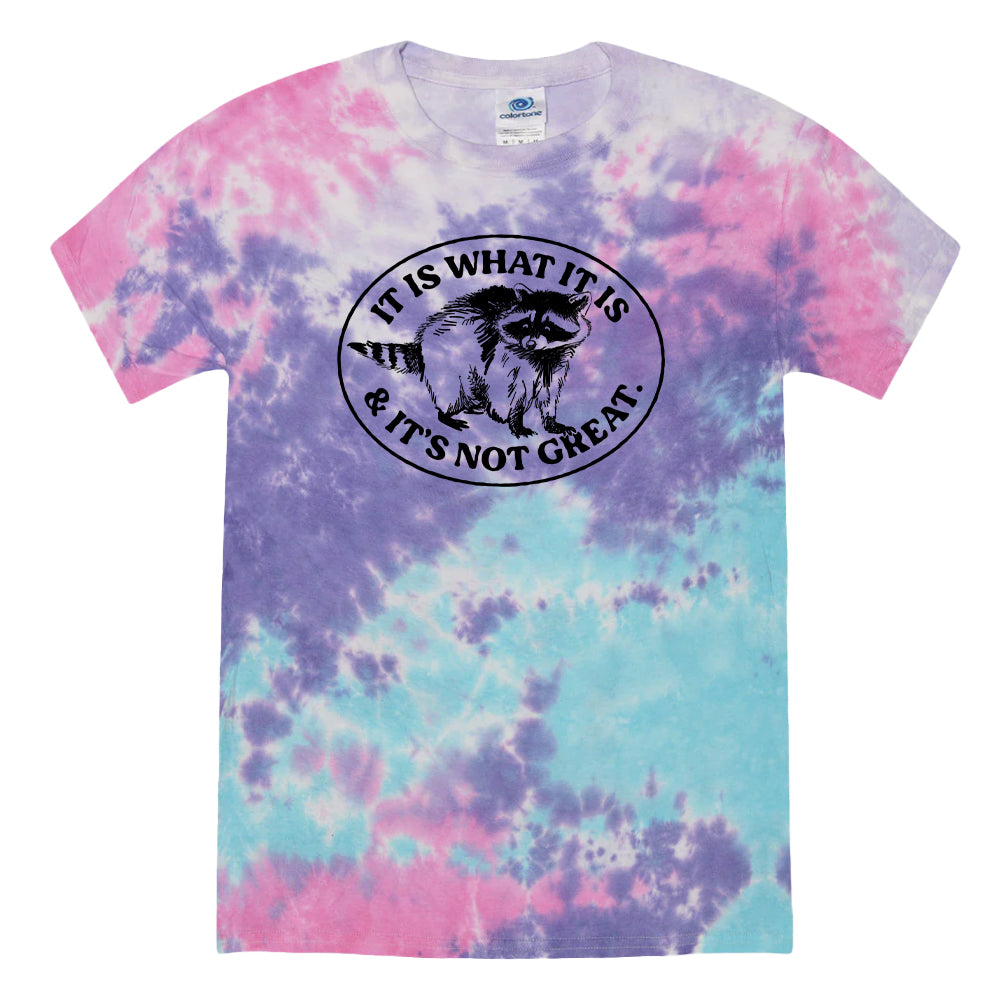 It Is What It Is And It's Not Great Raccoon