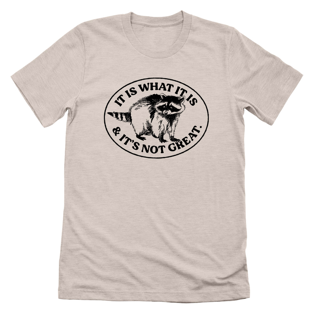 It Is What It Is And It's Not Great Raccoon