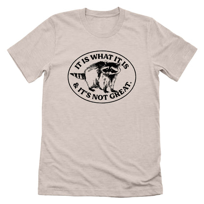 It Is What It Is And It's Not Great Raccoon