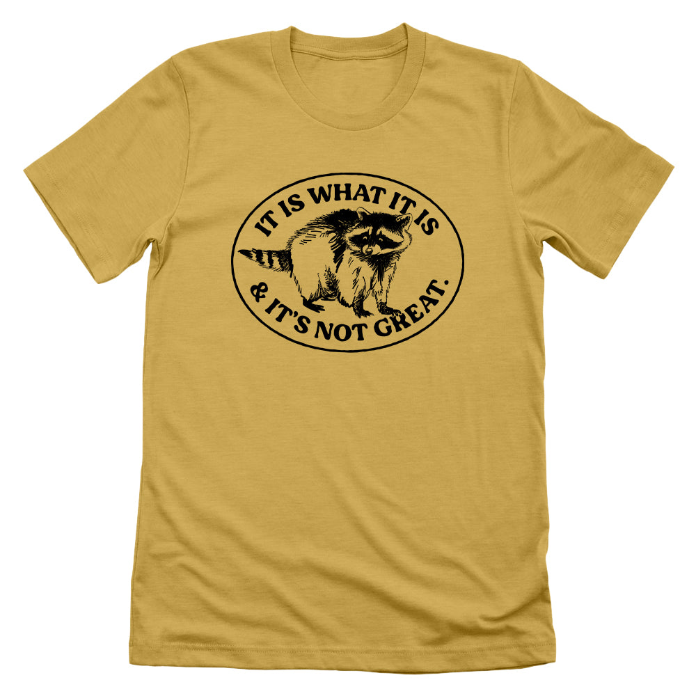 It Is What It Is And It's Not Great Raccoon
