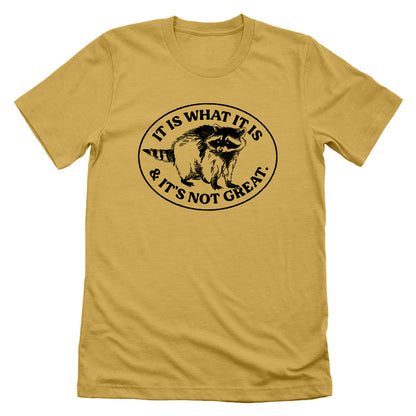 It Is What It Is And It's Not Great Raccoon
