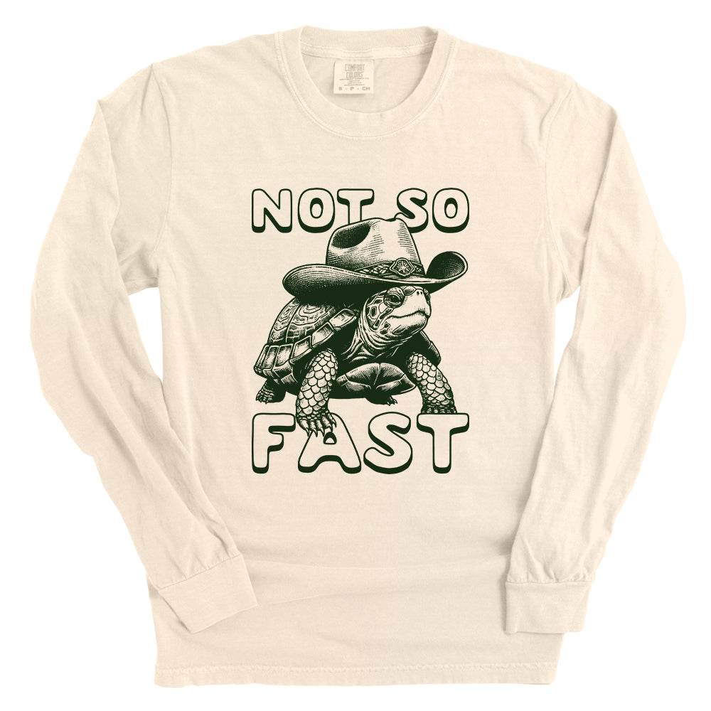 Not So Fast