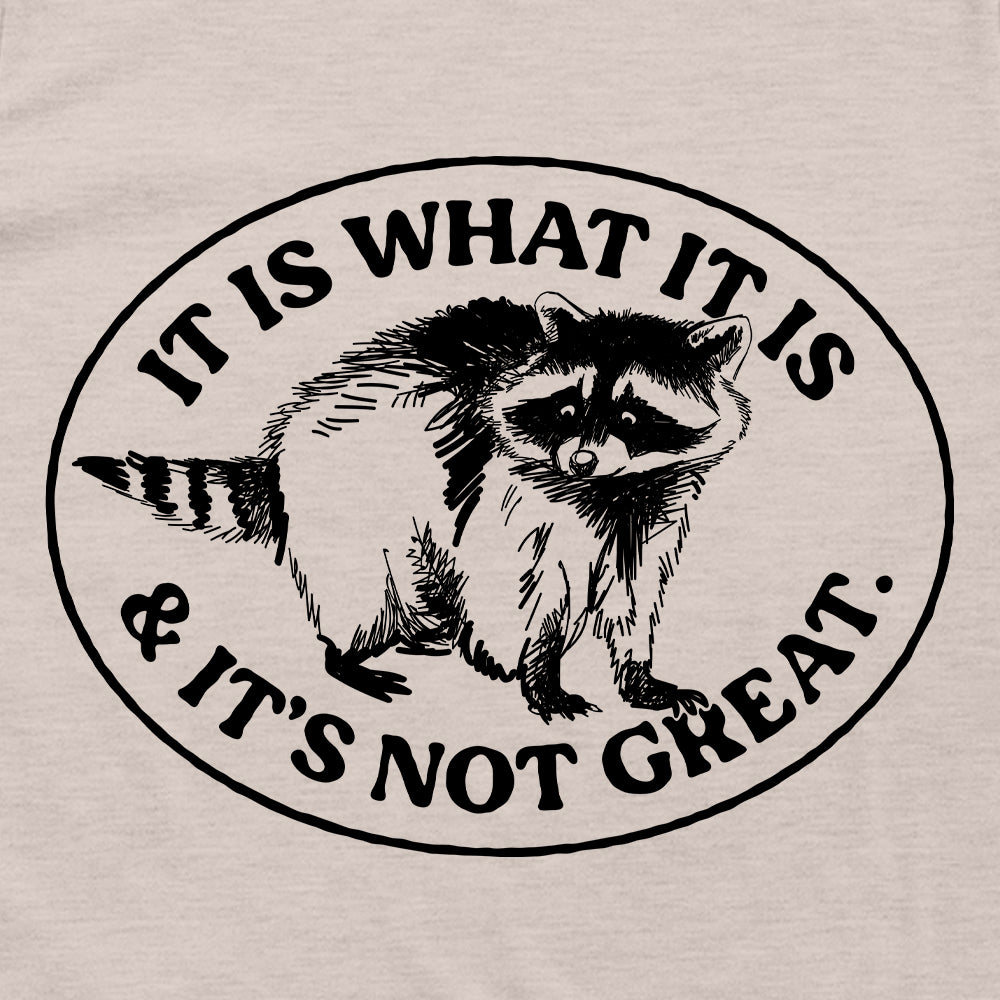 It Is What It Is And It's Not Great Raccoon