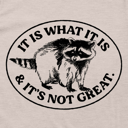 It Is What It Is And It's Not Great Raccoon