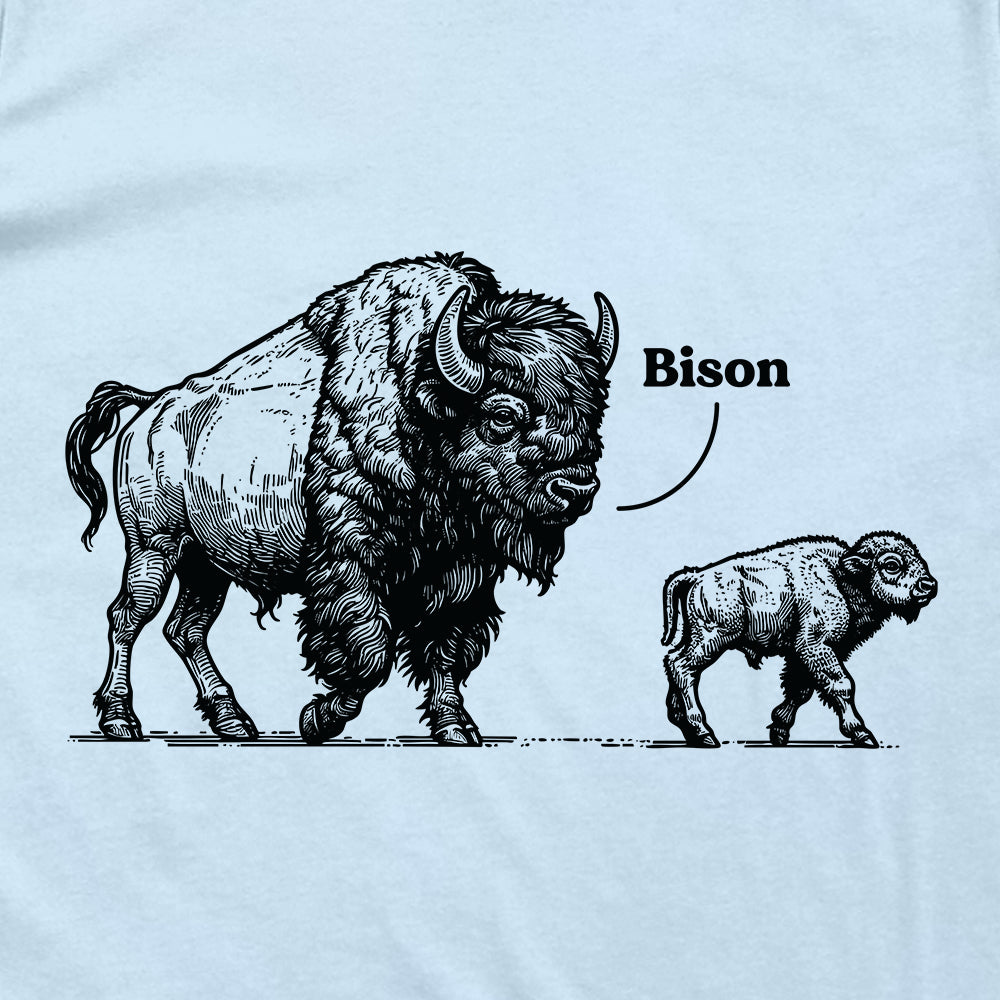 Bye Son Bison