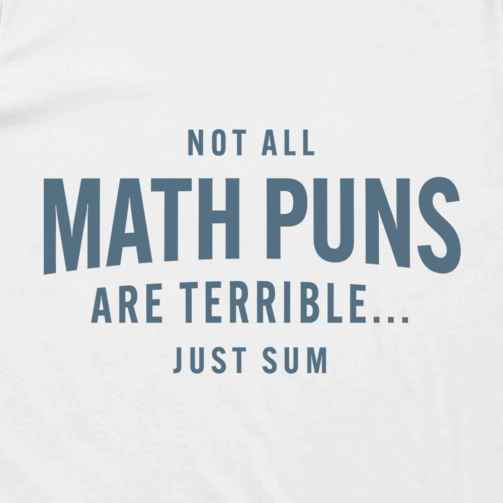 Not All Math Puns Are Terrible Just Sum