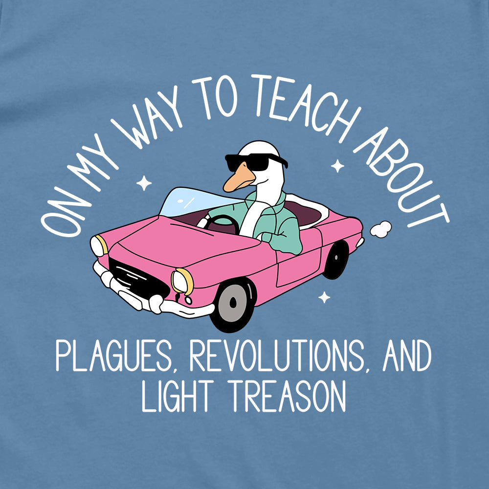On My Way To Teach Silly Goose