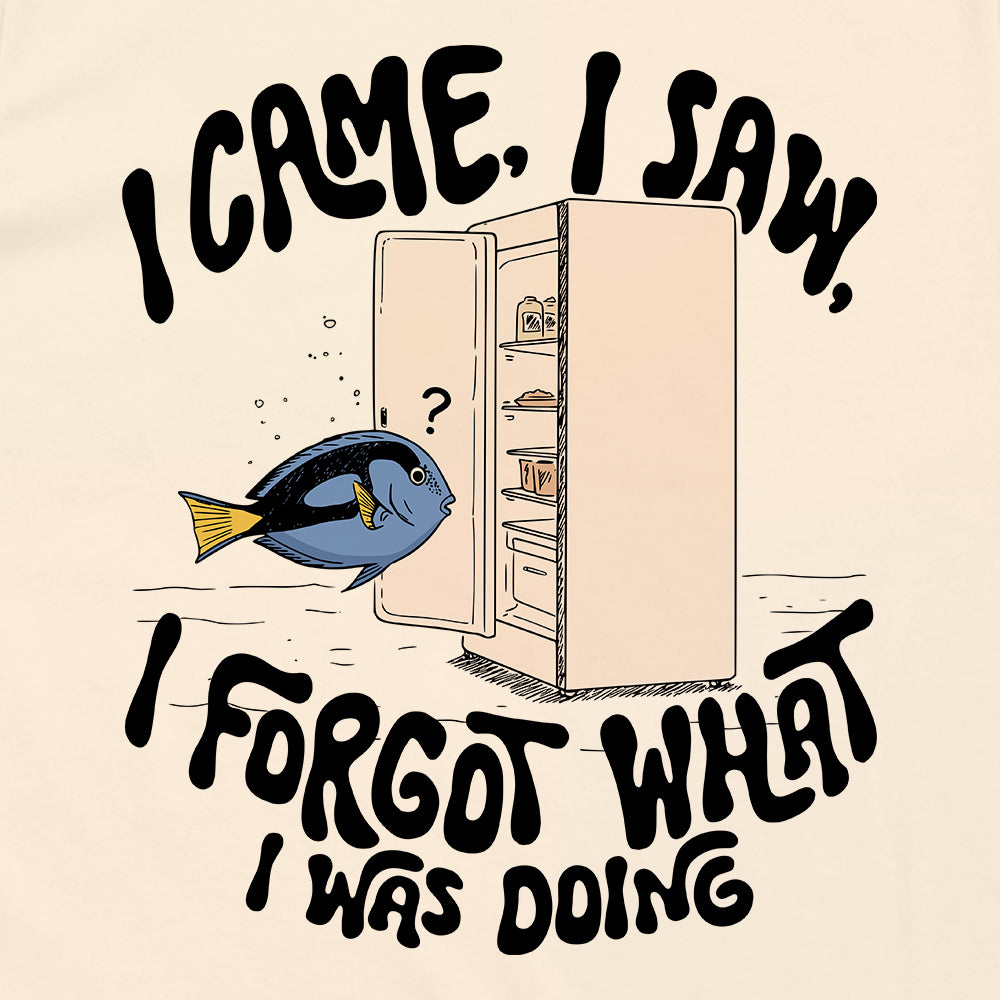 I Came I Saw I Forgot What I Was Doing