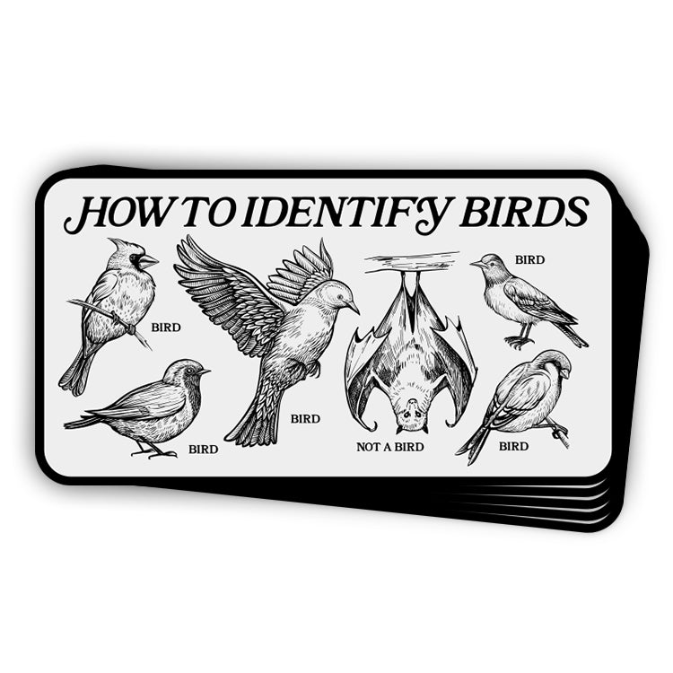 How To Identify Birds (Bumper Sticker)