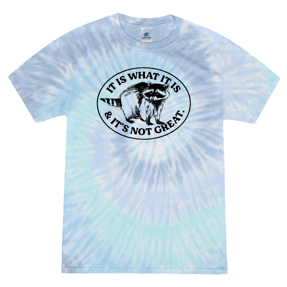 It Is What It Is And It's Not Great Raccoon