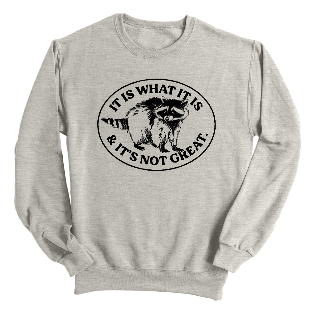 It Is What It Is And It's Not Great Raccoon