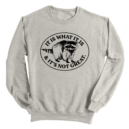 It Is What It Is And It's Not Great Raccoon