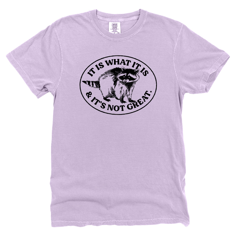 It Is What It Is And It's Not Great Raccoon