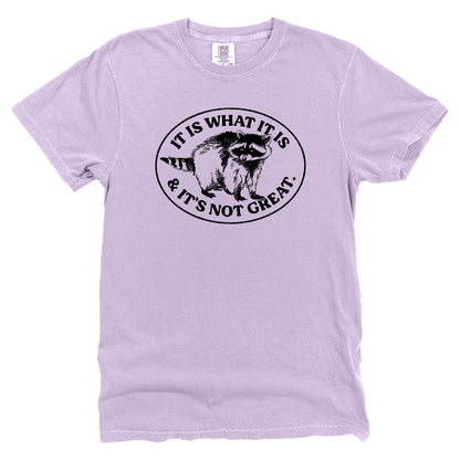 It Is What It Is And It's Not Great Raccoon