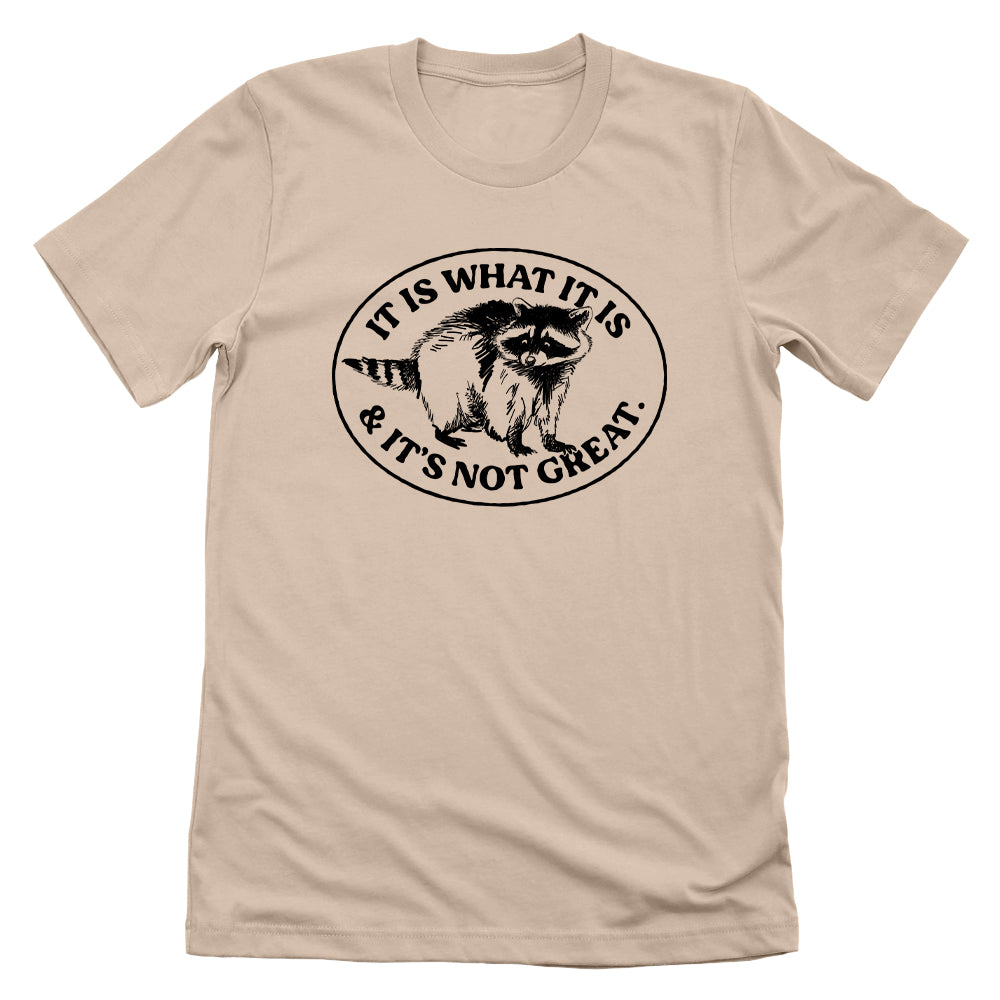 It Is What It Is And It's Not Great Raccoon