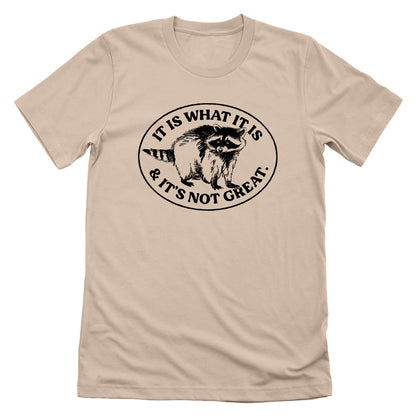 It Is What It Is And It's Not Great Raccoon