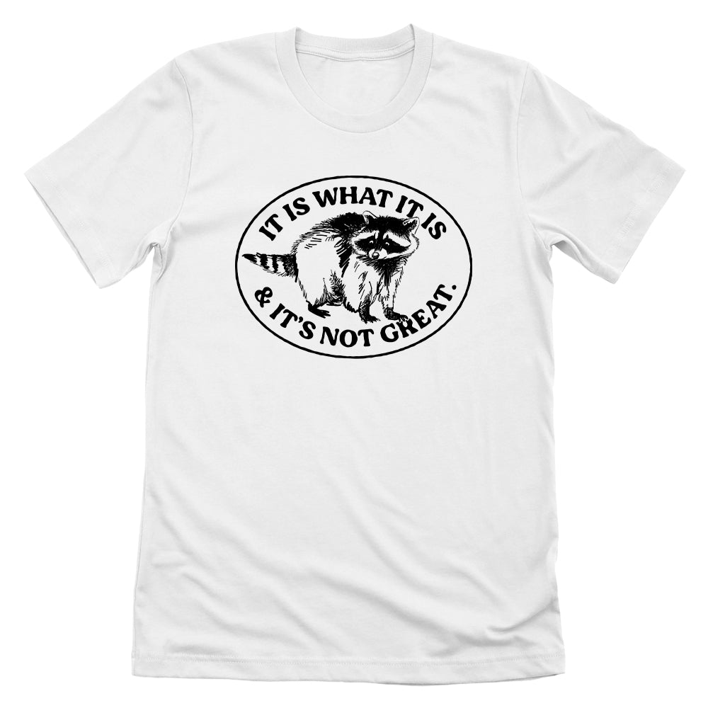 It Is What It Is And It's Not Great Raccoon