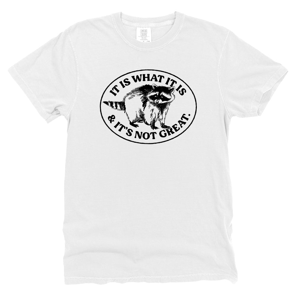 It Is What It Is And It's Not Great Raccoon