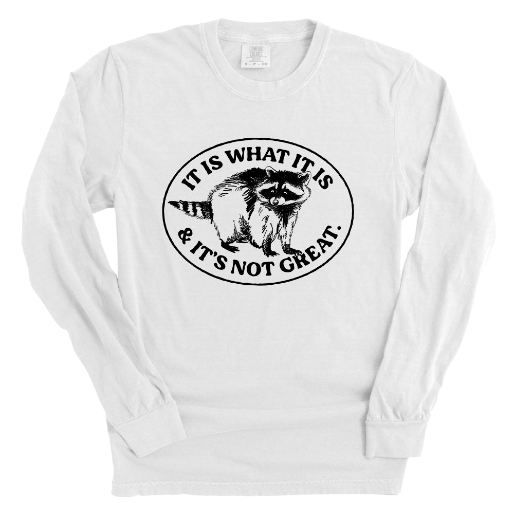 It Is What It Is And It's Not Great Raccoon