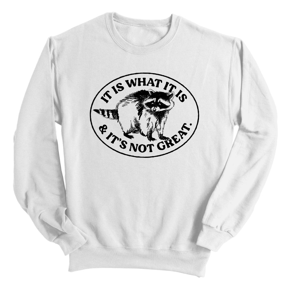 It Is What It Is And It's Not Great Raccoon