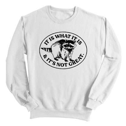 It Is What It Is And It's Not Great Raccoon