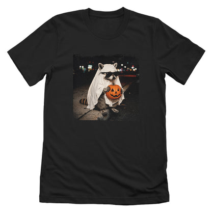 Vintage Halloween Raccoon