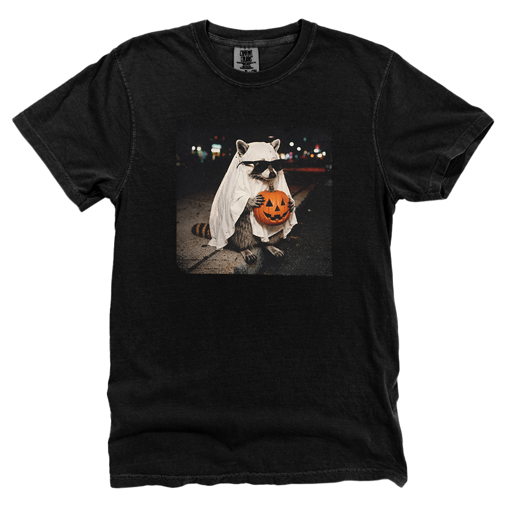 Vintage Halloween Raccoon
