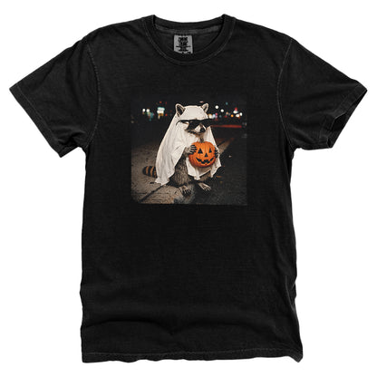 Vintage Halloween Raccoon