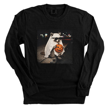 Vintage Halloween Raccoon