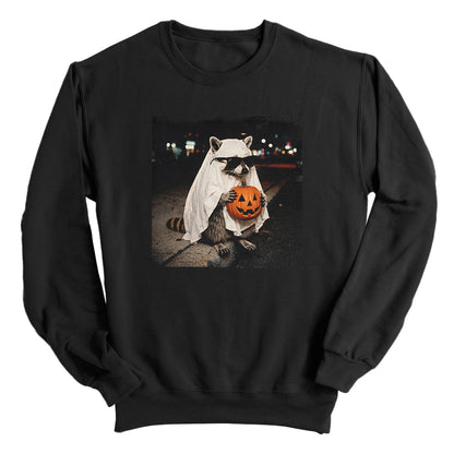 Vintage Halloween Raccoon