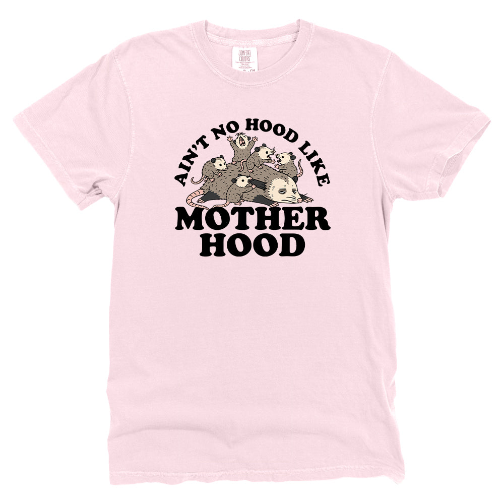 Ain't No Hood Like Motherhood