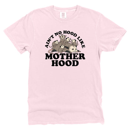 Ain't No Hood Like Motherhood