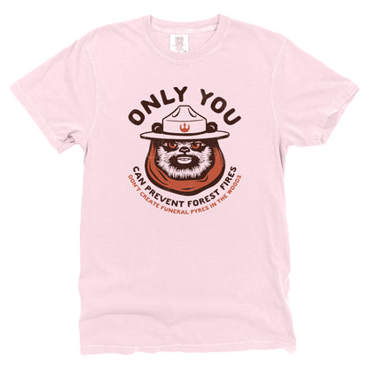 Only You Can Prevent Forest Fires Ewok