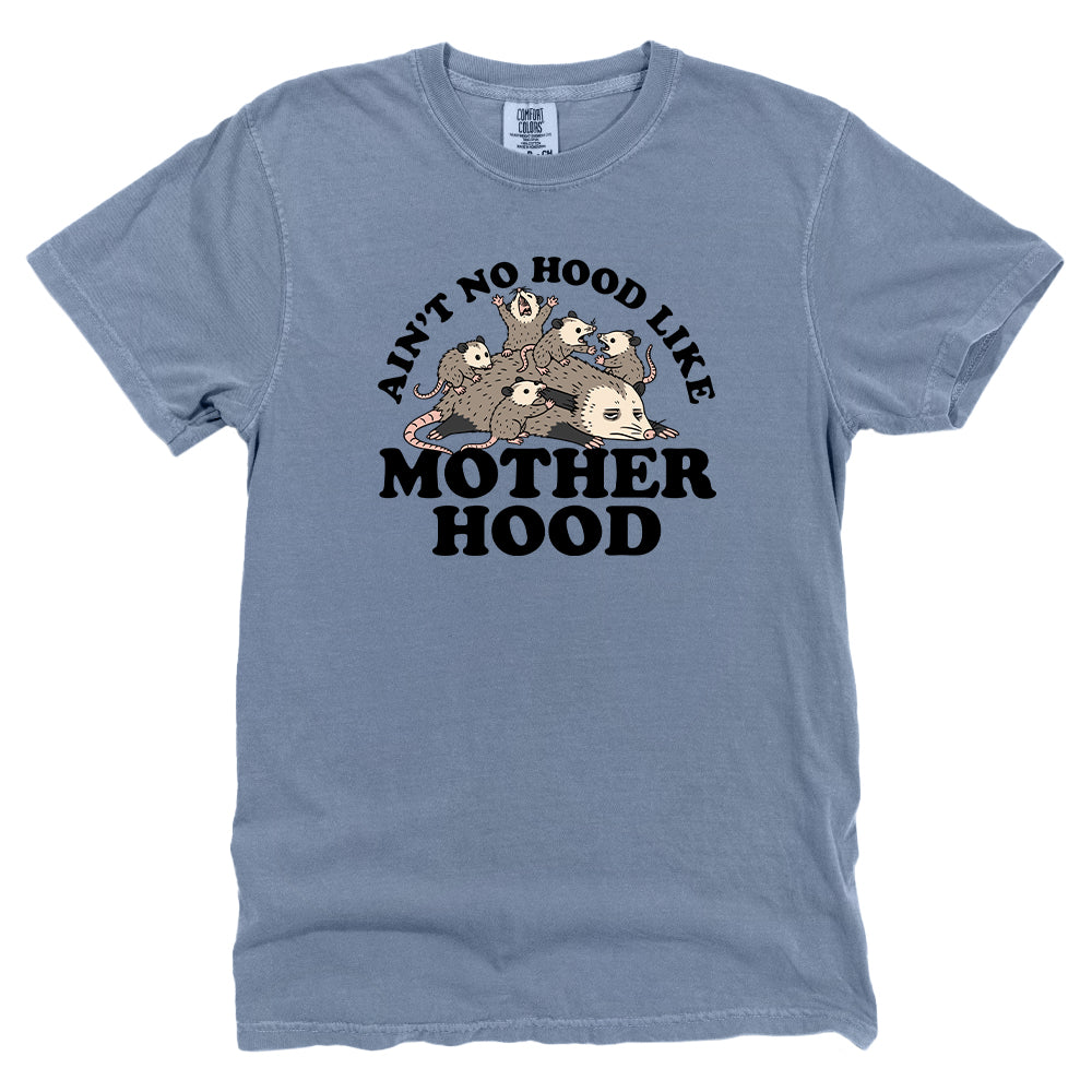 Ain't No Hood Like Motherhood