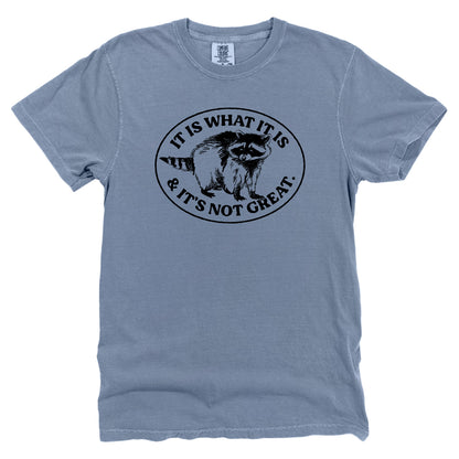 It Is What It Is And It's Not Great Raccoon