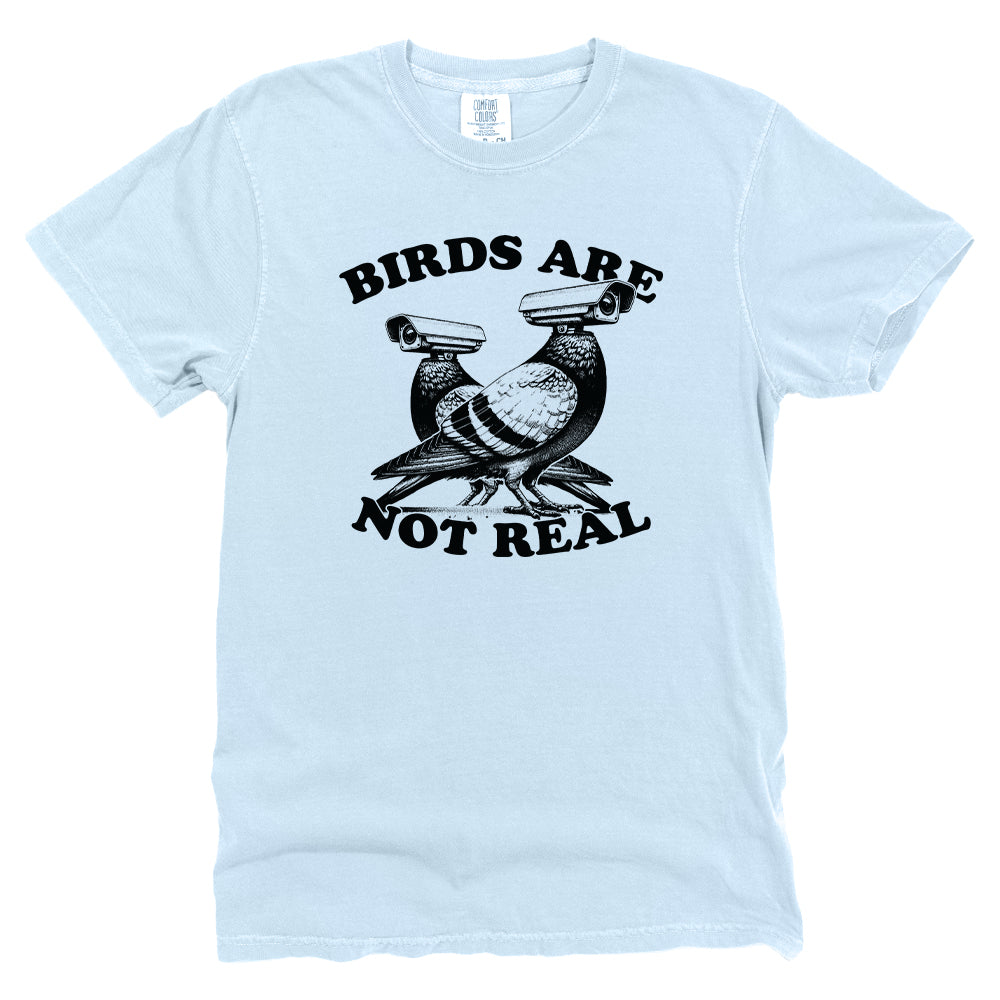 Birds Aren't Real
