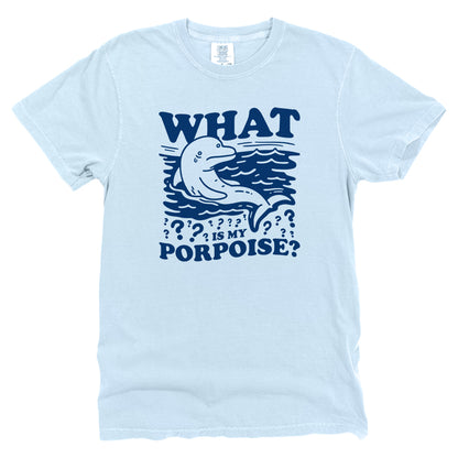 What is my Porpoise