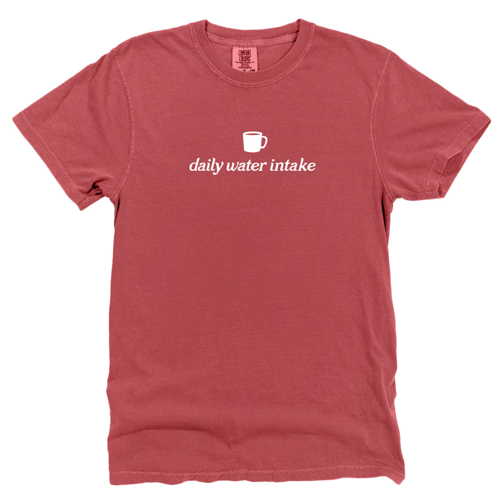 Daily Water Intake