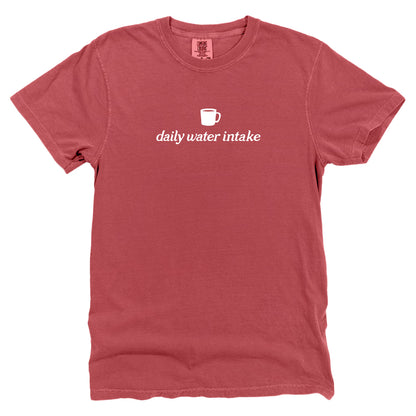 Daily Water Intake