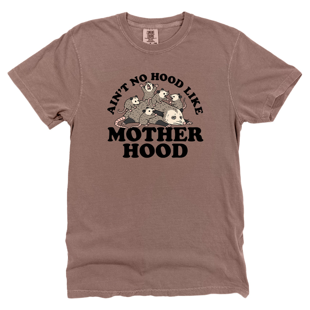 Ain't No Hood Like Motherhood