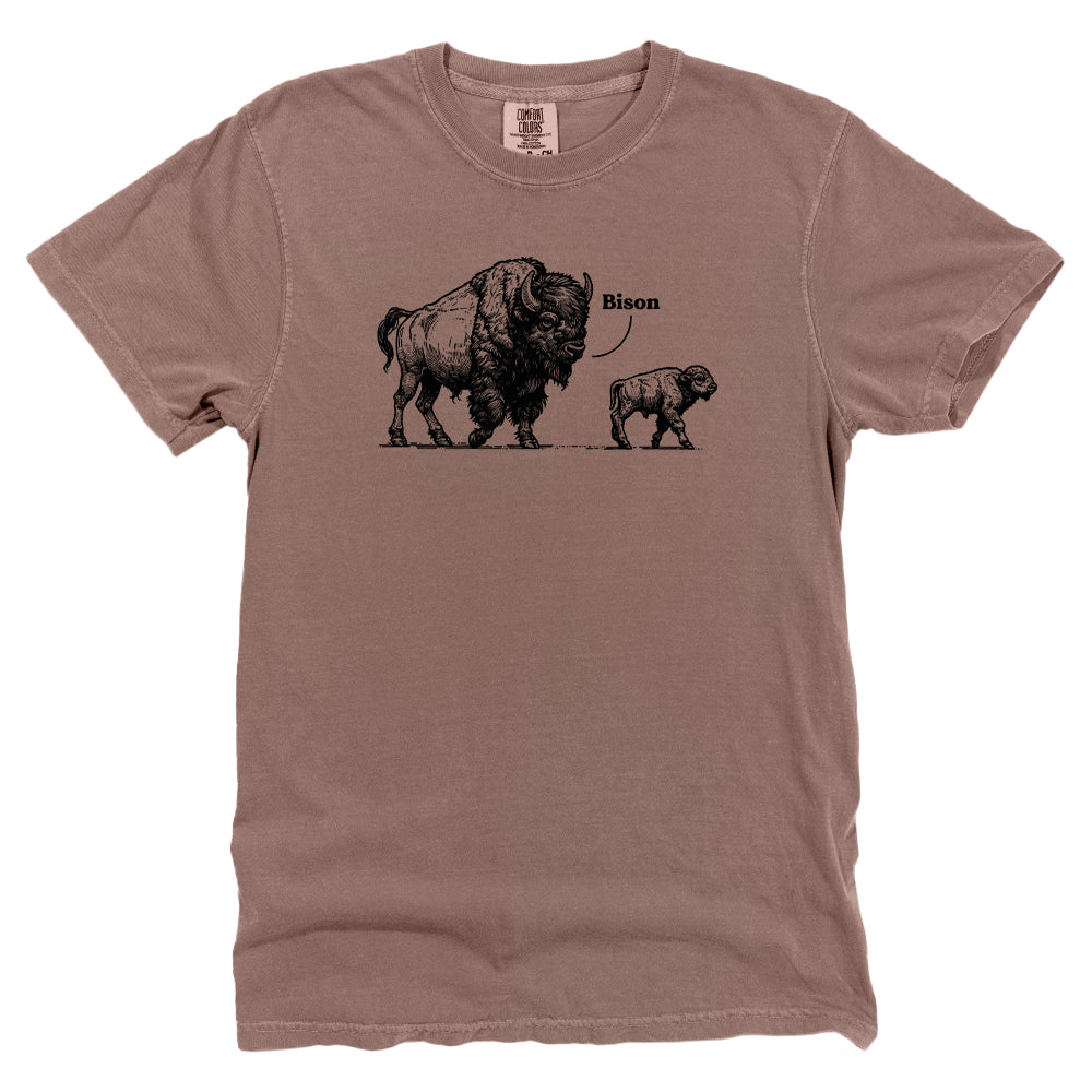 Bye Son Bison