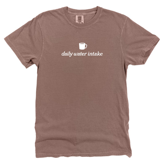 Daily Water Intake