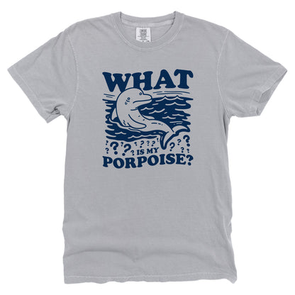 What is my Porpoise
