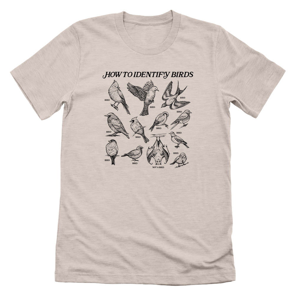How to Identify Birds
