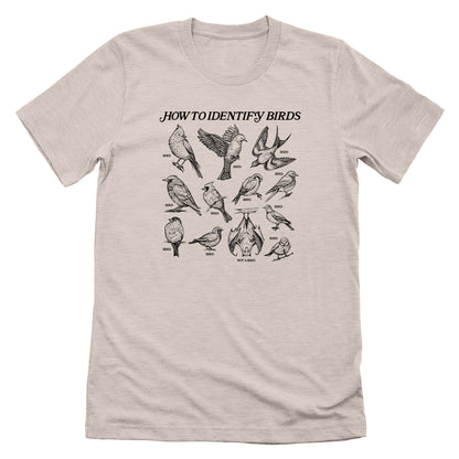 How to Identify Birds