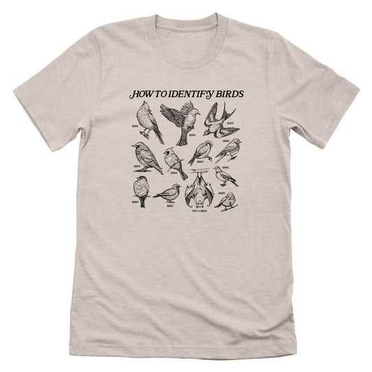 How to Identify Birds