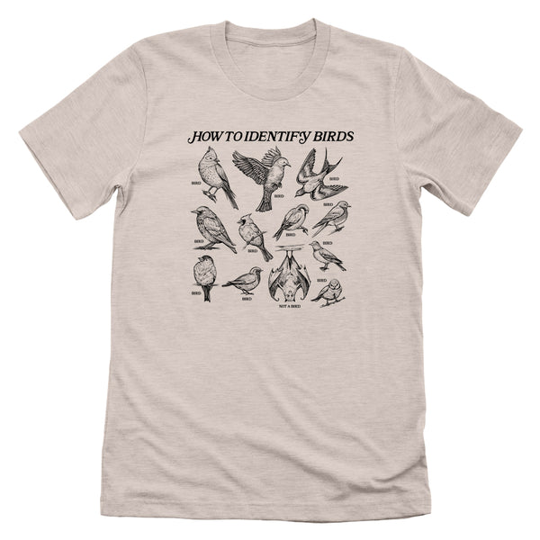 How to Identify Birds